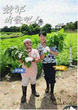 山海厨房美食综艺